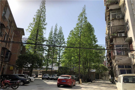 港基文华园东区3室2厅2卫96万117m2精装修